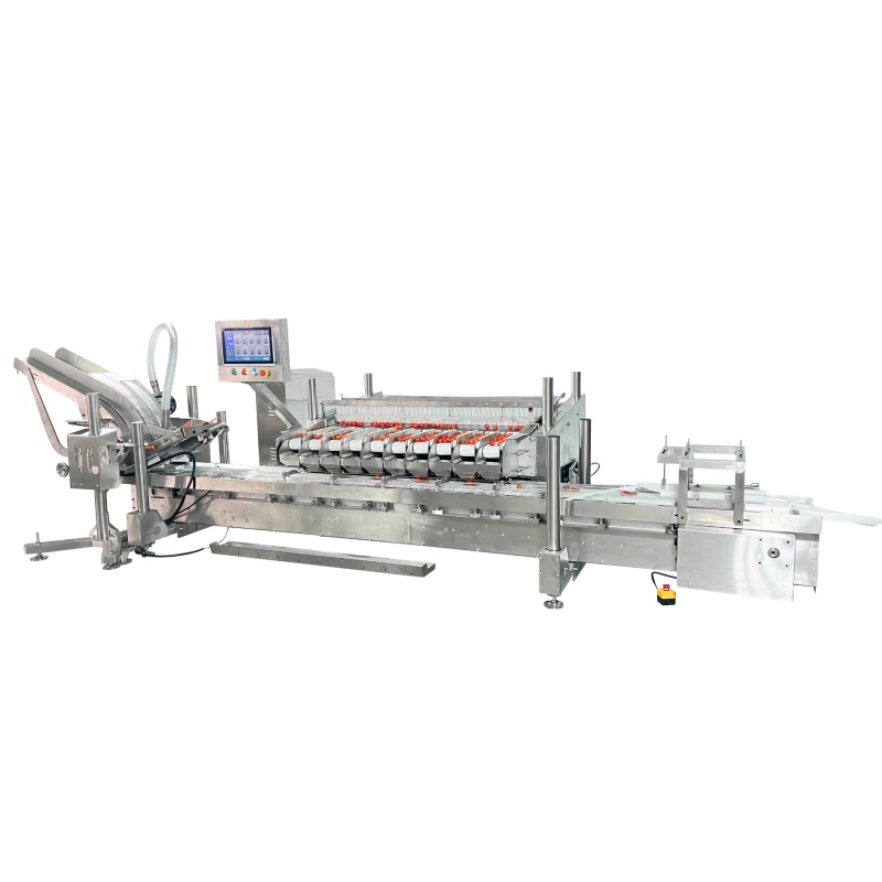 Maintaining of Fruit Plastic Container Packing Machines Huida Packing